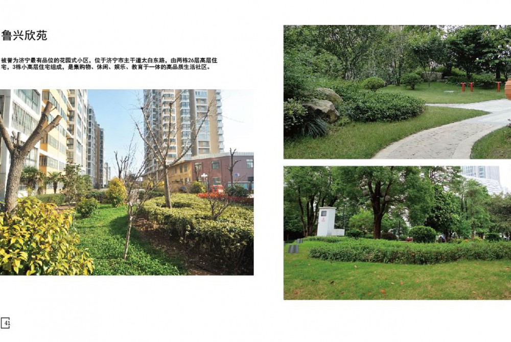 鲁兴欣苑