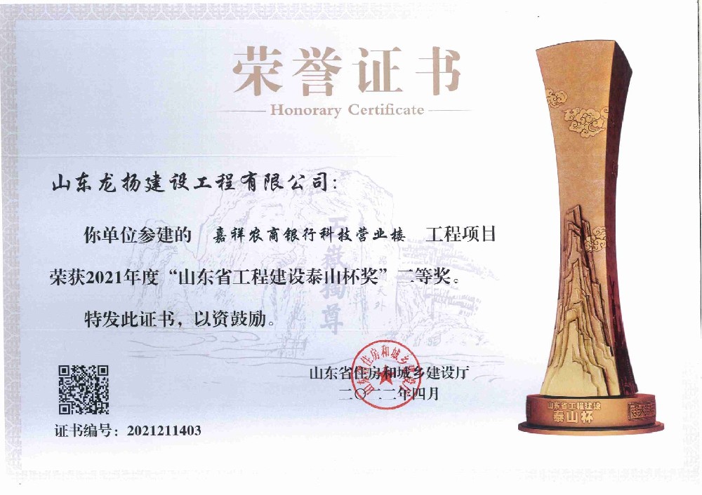 荣获“山东省工程建设泰山杯奖”